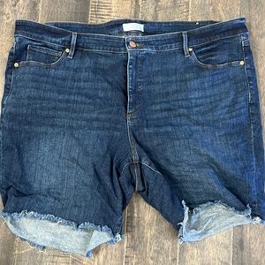 Loft plus Bermuda shorts